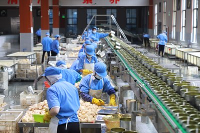 人行乐安县支行 金融助力当地竹笋产业链融合发展