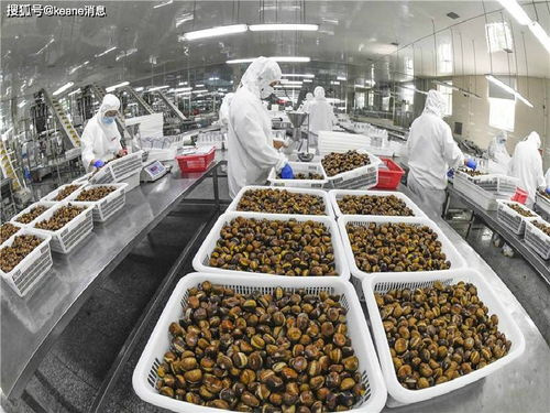 广东省农产品加工公司优秀企业推荐