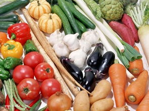 新鲜蔬菜最营养最健康的新吃法 更增营养健康